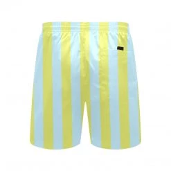Harlow & Lloyd Blue Lime Stripes Board Shorts
