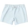 Subliminator Men Pale Blue Gingham Check Swim Shorts
