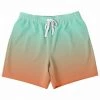 Subliminator Green Orange Color Fade Fleece Shorts 1 Subliminator Green Orange Color Fade Fleece Shorts