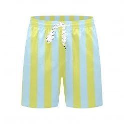 Harlow & Lloyd Blue Lime Stripes Board Shorts