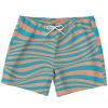Subliminator Sunset Water Swim Shorts Men