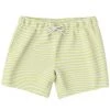 Subliminator Lime Wave Stripes Swim Shorts Men