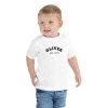 Harlow & Lloyd Toddler Short Sleeve Tee - Est. Year In White, Blue & Pink 1 Harlow & Lloyd Toddler Short Sleeve Tee - Est. Year In White, Blue & Pink