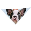 Harlow & Lloyd Personalized Pet Bandana With One Custom Photo Pet Lovers 1 Harlow & Lloyd Personalized Pet Bandana With One Custom Photo Pet Lovers