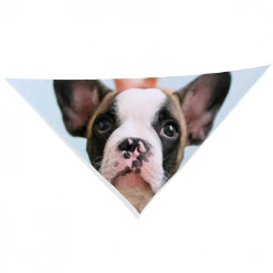 Cheap Harlow & Lloyd Store 30 Harlow & Lloyd Personalized Pet Bandana With One Custom Photo Pet Lovers