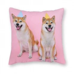 Harlow & Lloyd Accessories Custom Photo Throw Pillows 31 Harlow & Lloyd Accessories Custom Photo Throw Pillows