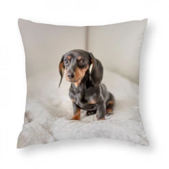 Harlow & Lloyd Accessories Custom Photo Throw Pillows 24 Harlow & Lloyd Accessories Custom Photo Throw Pillows