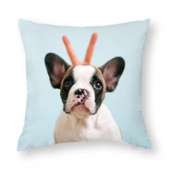 Harlow & Lloyd Accessories Custom Photo Throw Pillows