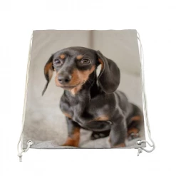 Harlow & Lloyd Custom Pet Photo Drawstring Bag 12 Harlow & Lloyd Custom Pet Photo Drawstring Bag